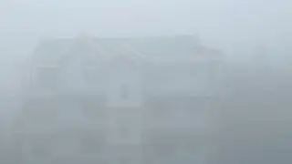 Winter morning Assam