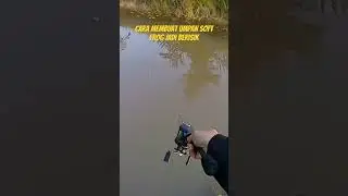 tutorial membuat Blade soft frog gacor