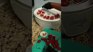 DIY Carolina Reaper Powder Seasoning Salt Garden to Table #homemade #spicy