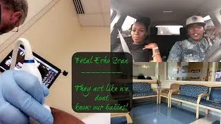 Lesbian Family Vlog | Fetal Echo Appt | They Act Like We Dont Know Our Babies!!