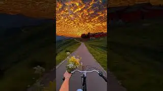 Riding Into a Golden Dream 🚲🌅 #shorts