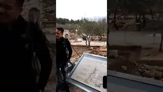 Olive Press In Old Testament Times