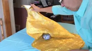 Video 3: Trim