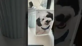 Drawing Snoopy&rsquo;s face with limited time (4 hours) part 1