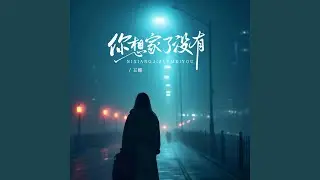 你想家了没有