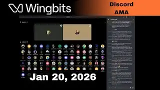 Wingbits Discord AMA: Jan 20th 2026