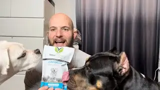 VETRISCIENCE Composure Calming Supplement for Dogs, Chew &ndash; Dog Calming Treats for Anxiety Relief.