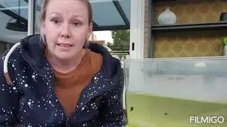 Kikkers 5. Hoe gaat het nu met onze kikkervisjes?