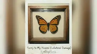 Sorry to my Homies ( Collateral Damage) 1 Lyric Video