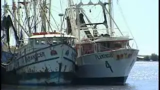 Puerto El Triunfo. Historia bajo el agua (2011)