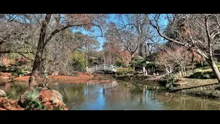 Winter in Japanese Garden