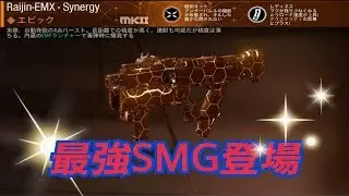 ［COD IW］パッチ1.20で王者VPR弱体w 今日からSMG最強はRaijin-EMXエピック（らいじーん)