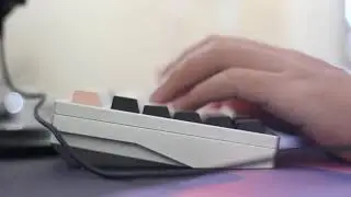 Lyn Whale w/ Cherry MX Browns