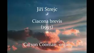 Jiř&iacute; Strejc &mdash; Ciacona brevis (1993) for organ