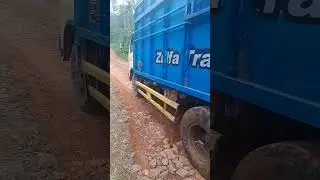 IFilling and cutting one aprika tree,,,,,Tukang ojek palang dari mekar jaya