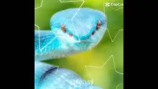 Blue snake edit #music #edit 