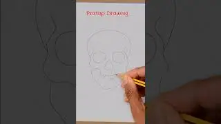 How to Draw Human Skull  #shorts #drawing #skull #short #