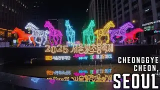 Walking Above Cheonggyecheon | Winter Night Walk in Seoul | 4K
