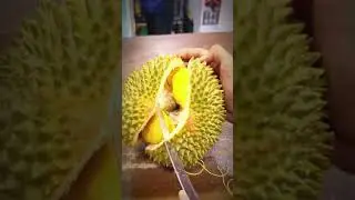 Durian Peeling Skills! 🦔🥭 From Spiky Shell to Sweet Fruit #Shorts #Durian #FruitSkills