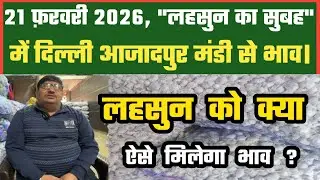 आज लहसुन में बाज़ार कैसा दिखा ? Azadpur Delhi Mandi Today 21-02-2026 को बने ऐसे Garlic Price DMT TV