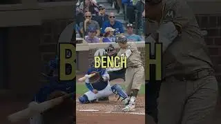 The best possible Dominican Republic Team for World Baseball Classic in 2026