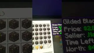 Invest gilded blackstone guys #donutsmp #minecraft #shorts