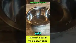 My Honest Review on these dog bowls