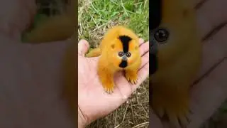 The World's Smallest Monkey! (Golden Finger Monkey) #animals  #fantasy #aitouch #shorts