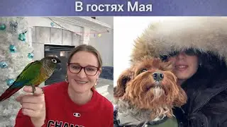 Отрывок из стрима| Нью Йорк на связи 🇺🇸