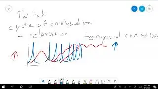 Temporal summation: Part 1