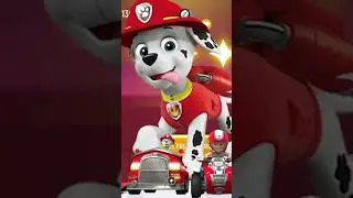 #dametucosita #marshallpawpatrol  #gumybear #cazyfrog #crazyfrog #dematucosita