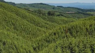 OSU buys 3K+ acres of forest northwest of Portland