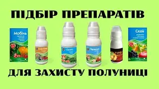 ЧАС РОБИТИ ЗАКУПИ!