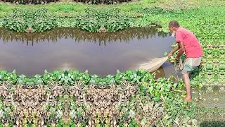 Amazing Net Fishing Video - Poor Fisherman Catch Fish by Net - Cast Village Fishing