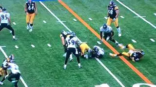 jarret johnson vs hines ward