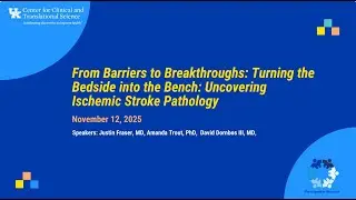 Turning the Bedside into the Bench: Uncovering Ischemic Stroke Pathology