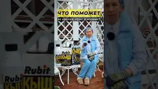 Как выгнать кротов и мышей с участка? #садоводничество #дачныесоветы #мыши #крот #лайфхаки