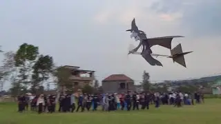 WHAT YOU DO? WHEN WITCH FLY ABOVE YOU