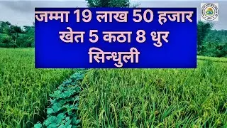 सस्तो खेत 5 कठा 8 धुर तुरुन्तै बिक्रीमा सिन्धुली Land for sale Nepal sunduli 