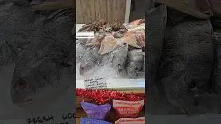 Atlantic Ocean Fish Market