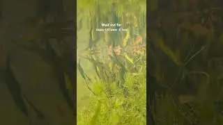 Samsung galaxy f62  water 💧 test #viralshorts #samsung #galaxy #f62 #shorts #shortvideo