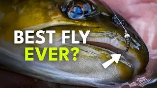 The Nymph That Simplifies Your Entire Fly Box