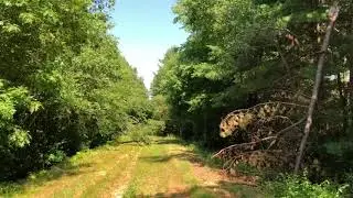 Abundance is Everywhere