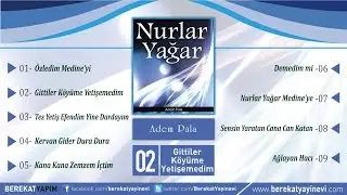 Adem Pala - Gittiler Köyüme Yetişemedim
