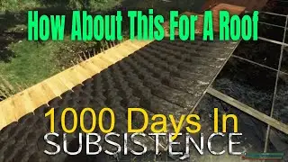 1000 Days Of Subsistence  Roof Ideas and An Unplanned Trip Up North