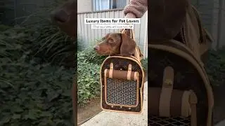 Luxury Pet Accessories
