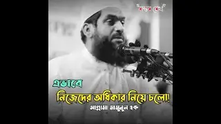 😍🥀 Mamunul Haque WhatsApp status waz | Status Waz | Islamic Status | Bastobrekha