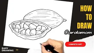 How to draw Cardamom - Easy Cardamom Drawing