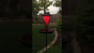 LUJII GARDEN SOLAR LIGHTS BIRD BATH #garden