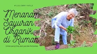 MENANAM SAYURAN ORGANIK DI RUMAH - VLOG EMMY HAFILD